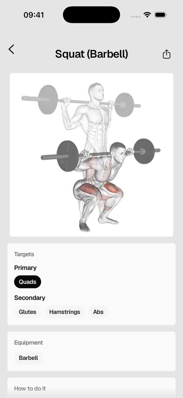 Exercise page for the barbell squat